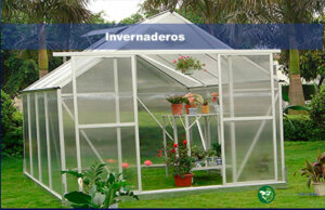 Invernaderos