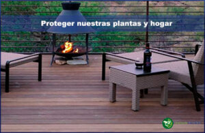 Proteger nuestras plantas y hogar