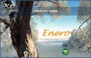 tareas del jardin