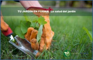 tu jardin en forma