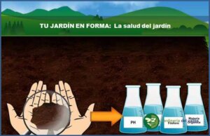 tu jardin en forma 5