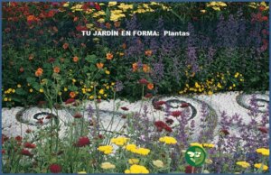 tu jardin en forma 7