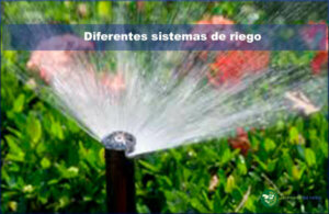 Diferentes sistemas de riego en jardinería