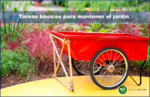 tareas básicas para mantener el jardín