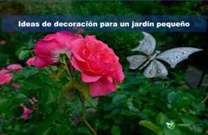 Decoración de un jardín pequeño