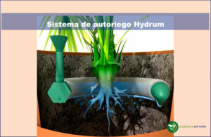 Autoriego Hydrum para macetas