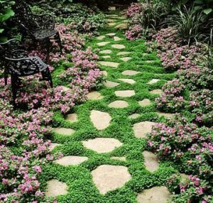 Pasillos de piedra con Dichondra repens