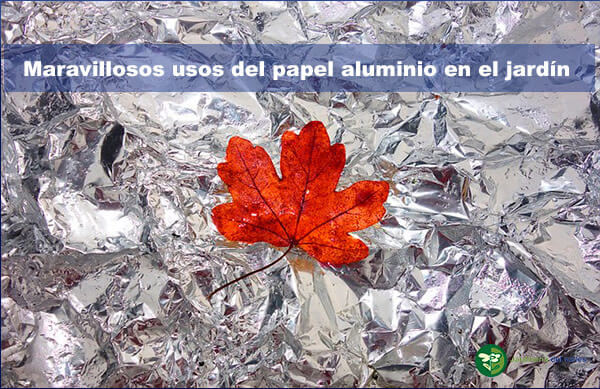 Para qué sirve el papel de aluminio