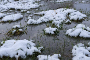 la nieve derretida deja el césped inundado