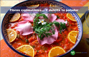 deleitate con flores comestibles