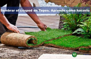 Césped en Tepes