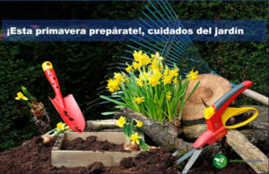 Prepárate para cuidar tu jardín en primavera