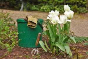 Tareas de nuestro jardín en primavera