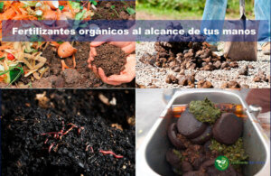 Fertilizantes orgánicos caseros fáciles de preparar