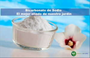 Bicarbonato de Sodio en nuestro jardín