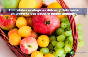 frutales ecológicos deliciosos