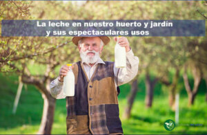 La leche en nuestro huerto y jardín