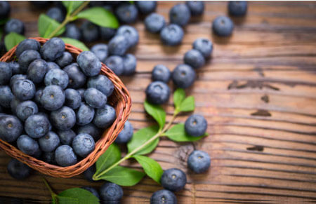 frutos del bosque arándano ecológico