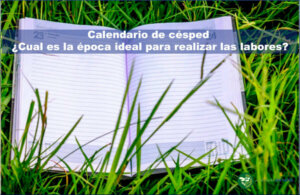 calendario de césped. época ideal para realización de labores