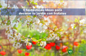 5 fantásticas ideas para decorar tu jardín con frutales