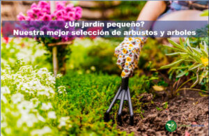 ¿Un jardín pequeño?