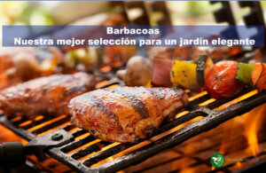 barbacoas destacada