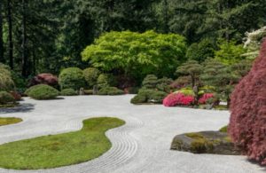 jardines de bajo mantenimiento zen