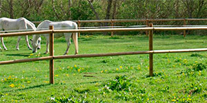 Valla madera jardín marismas