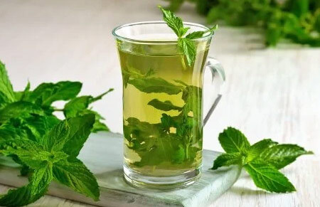 Menta poleo