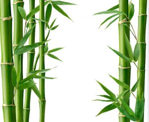 bambu plantas artificiales