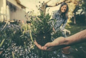 Trucos para embellecer tu jardín en abril 